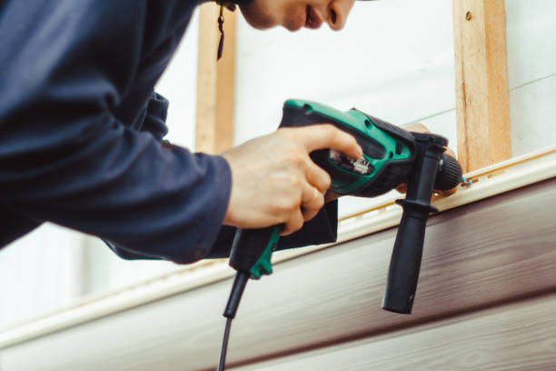 Best Custom Siding Design  in Hermosa Beach, CA